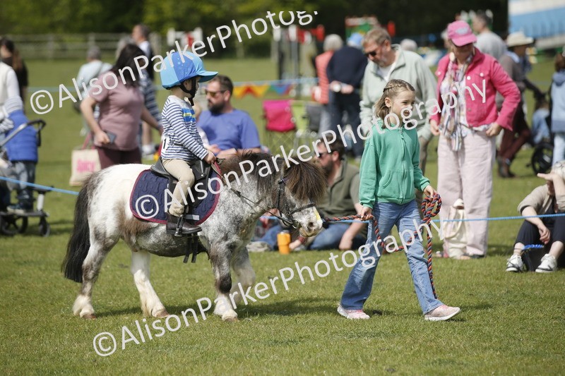 20260426-1824 - Class 7 - Pony Judge Would Most Like To Take Home