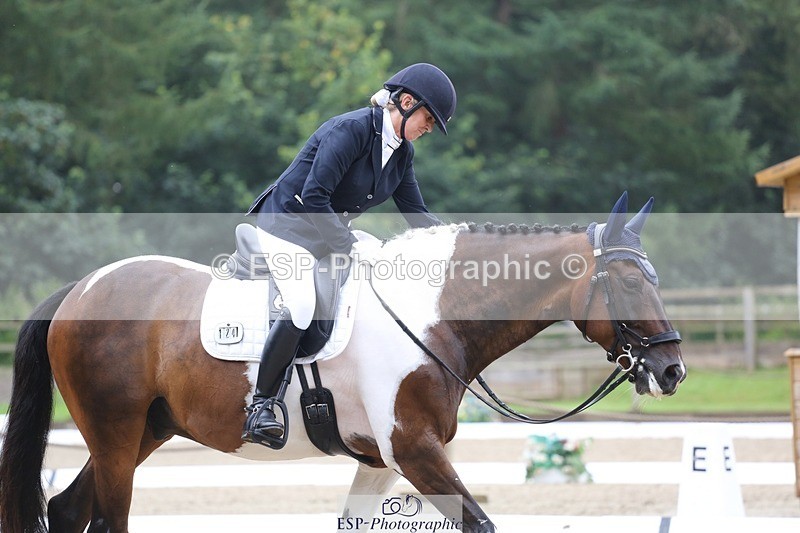 240720-150150-06295 - 124-Sophie_Savage-Two_Tone_Ted
