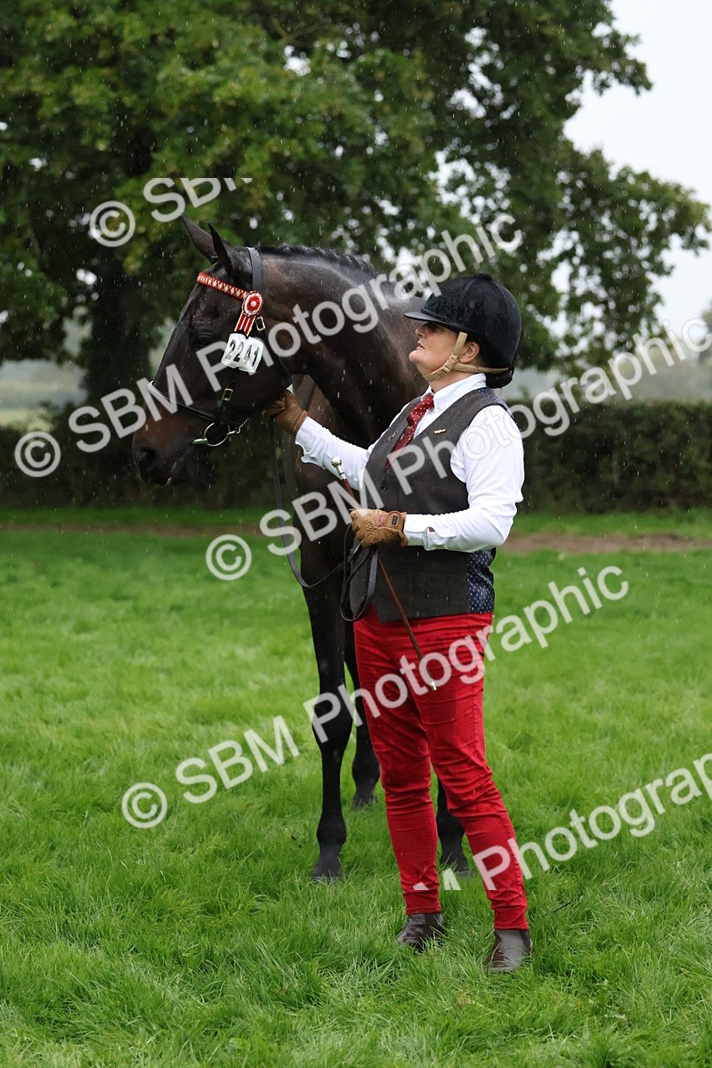 SBM_35355 - S10 - Best In Hand Horse & Pony