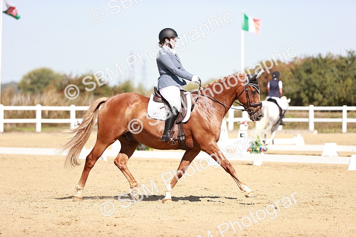 SBM_004534 - Class 12 - Novice 5 - 10.31-11.41