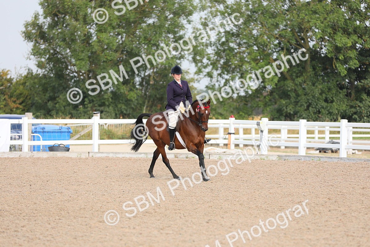SBM_10882 - Class 304 Ridden Part Bred Horse/Pony