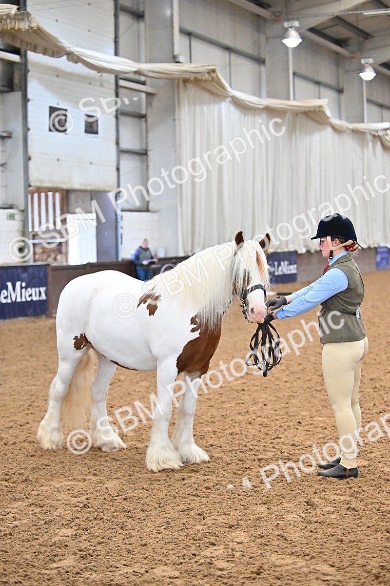 SBM_000030 - Class 1 - In Hand Cob