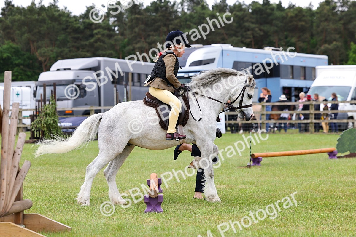 SBM_08213 - Class 42-43 - LIHS BSPS Heritage Working Sports Pony