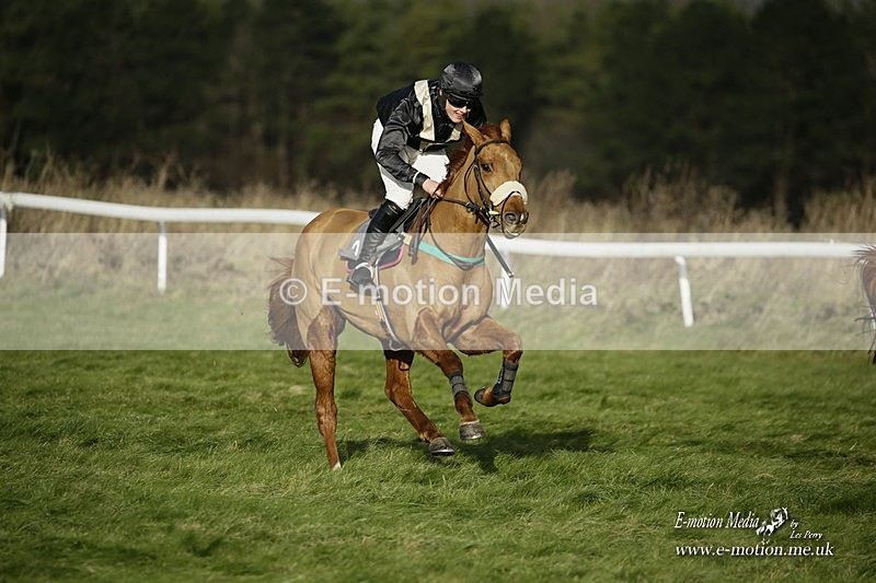 PtP 281121 0137 - Hursley Hambledon Point-to-Point Larkhill 28/11/21