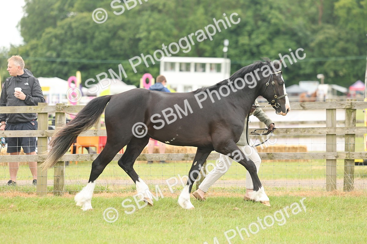 SBM_04808 - Class 50-57 - M&M Welsh Pony In Hand