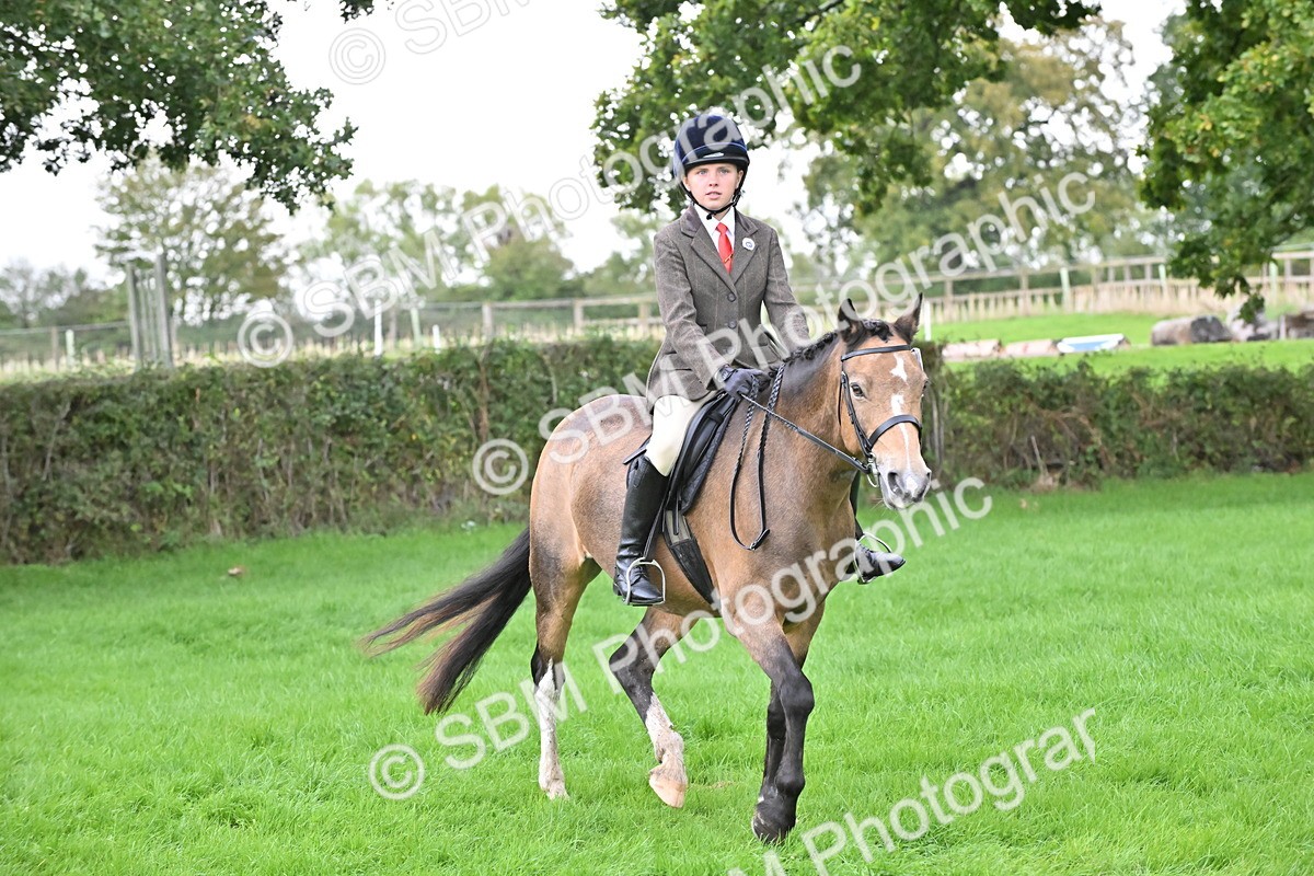 SBM_42883 - S12 - Family Horse & Pony