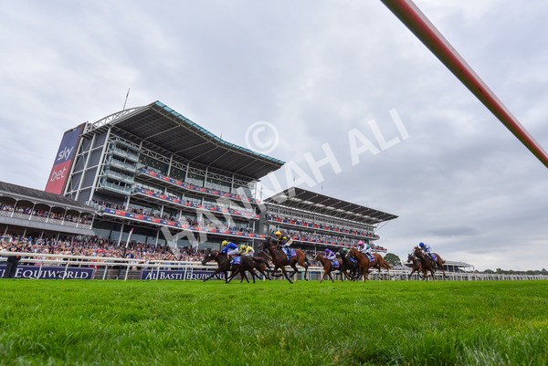 230825-Race 3-Never So Brave-9672 - Race 3 3.00pm Sky Bet City Of York Stakes