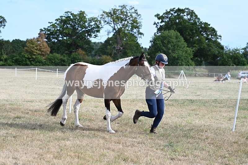 WJ7_8173 - In-hand Championship