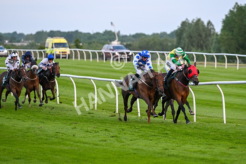 310524-Race 6-Mister Sox-9031 - Race 6