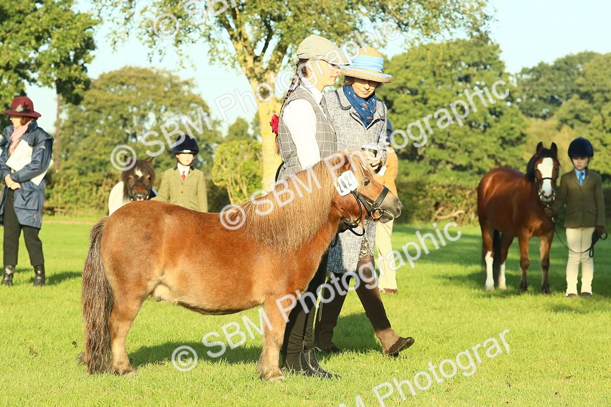 SBM_57425 - S37 - Starters In Hand Showing