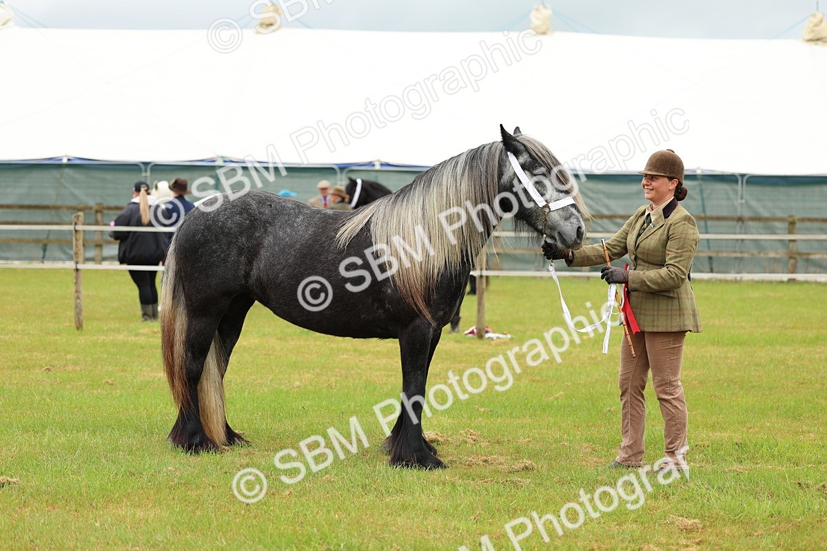 SBM_00433 - Class 58-67 - M&M Non Welsh Pony In hand