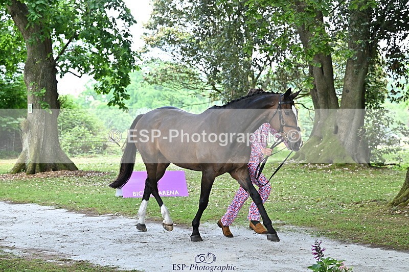 250521A-143408-00088 - A-014-Anna.Price-BLAKENEY.SURPRISE