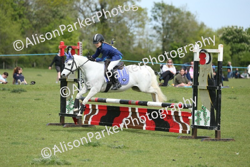20260426-2022 - Class 15 - Absolute Novice 70cm