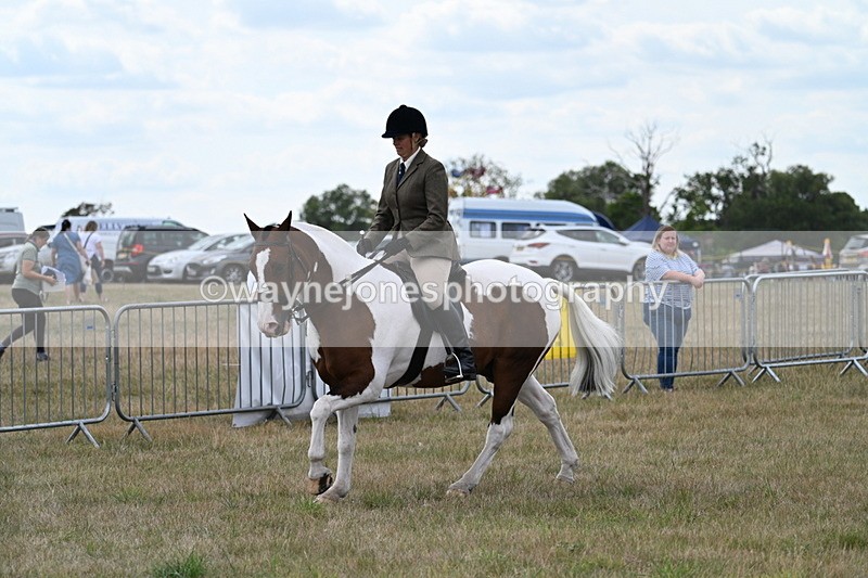 WJ7_5086 - Class 12 Ridden Cob