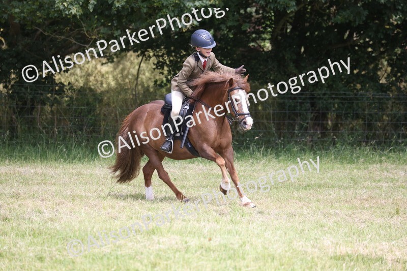 20260614-2182 - Class 21 - Novice Working Hunter Pony
