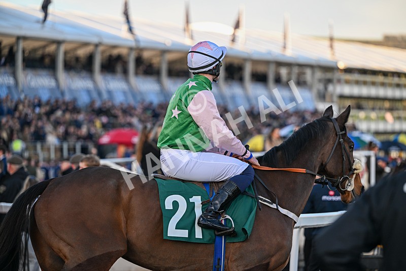 130326-Race 6-Willewonga-3145 - 13th March