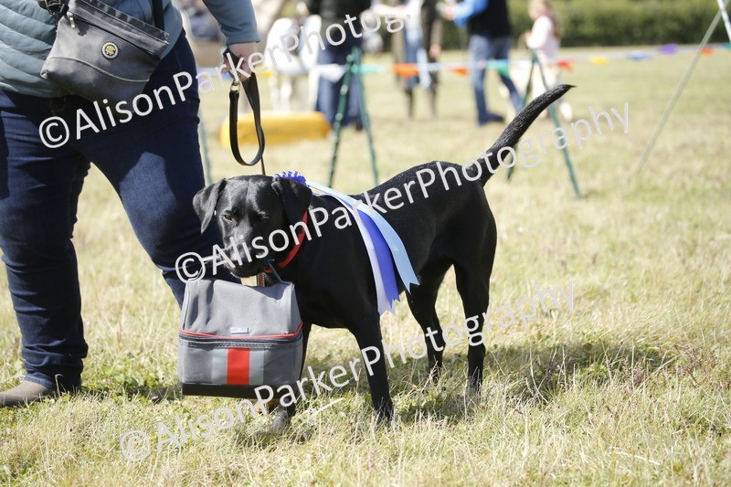 20250831-3736 - Dog Show