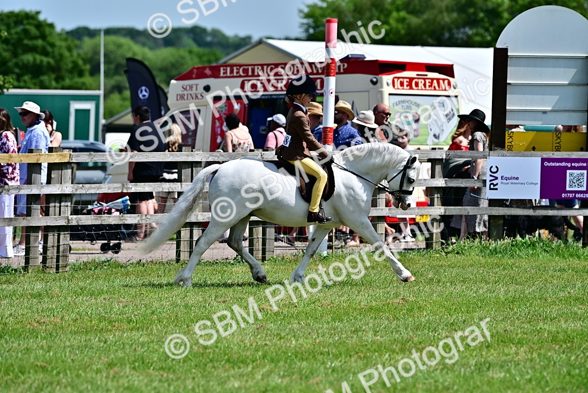 SBM_06429 - Class 59-60 - TSR M&M  Lear Rein and First Ridden Amateur of the year