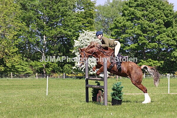 IMG_4732 - Working Hunter