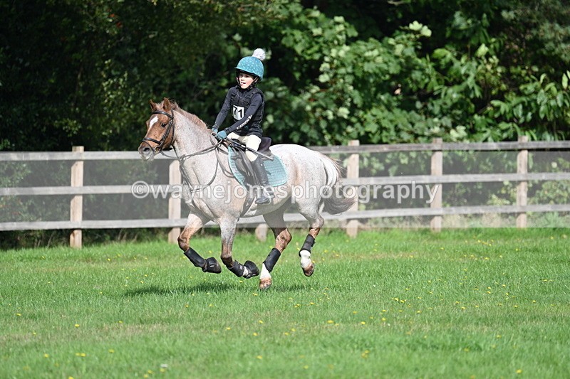 WJ7_5017 - 60cm Time 11:11 to 11:19