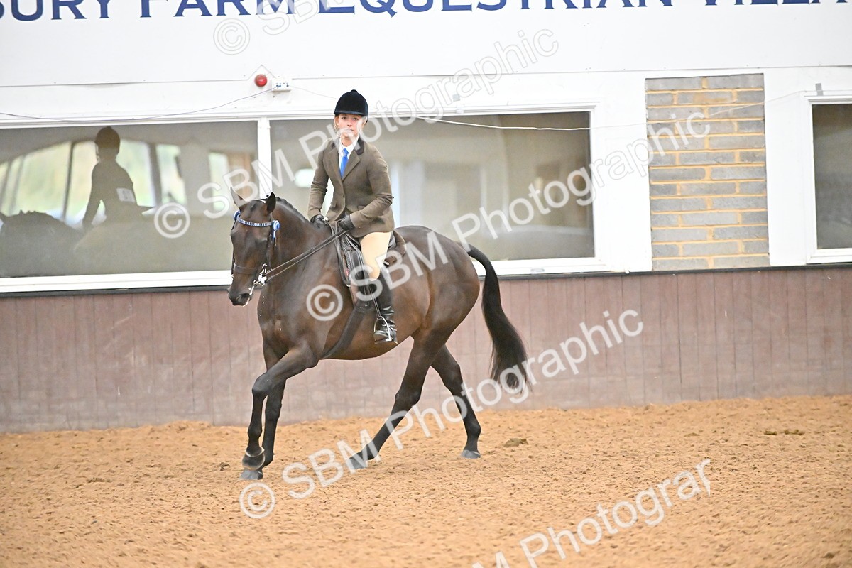 SBM_002388 - Class 22 - BSHA Ridden Hack & Riding Horse