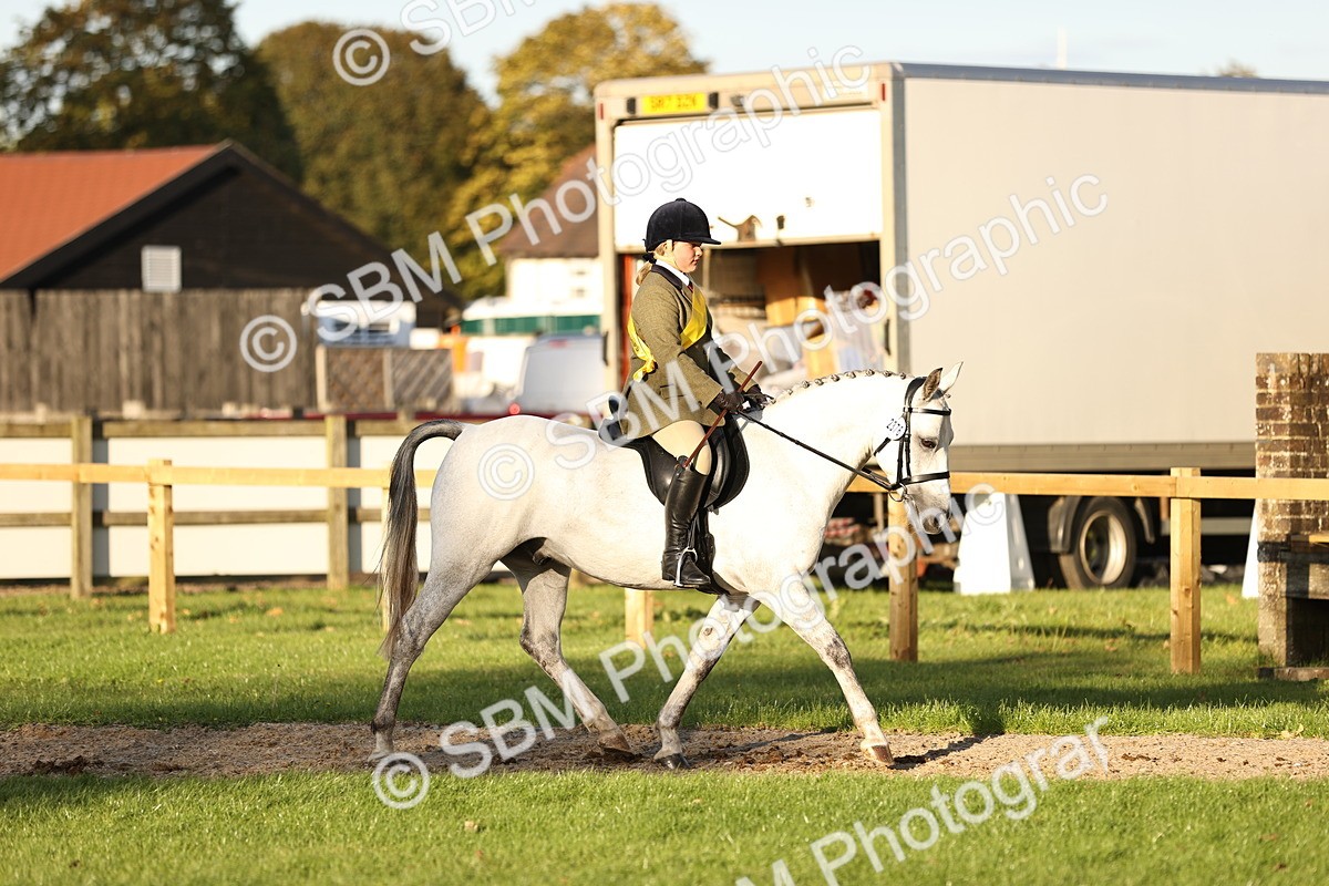 SBM_30102 - Novice & Newcomers Supreme Championship