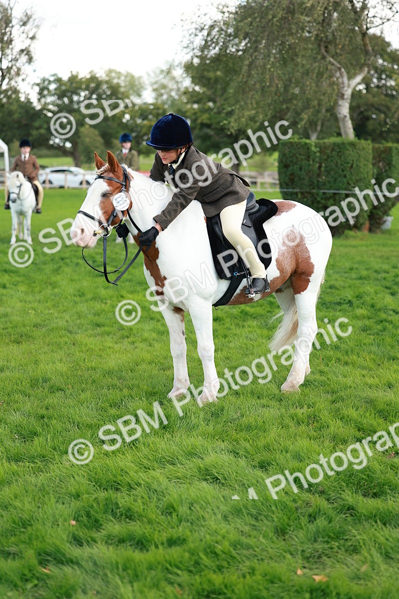 SBM_28845 - S7 - Novice & Newcomer Ridden Pony