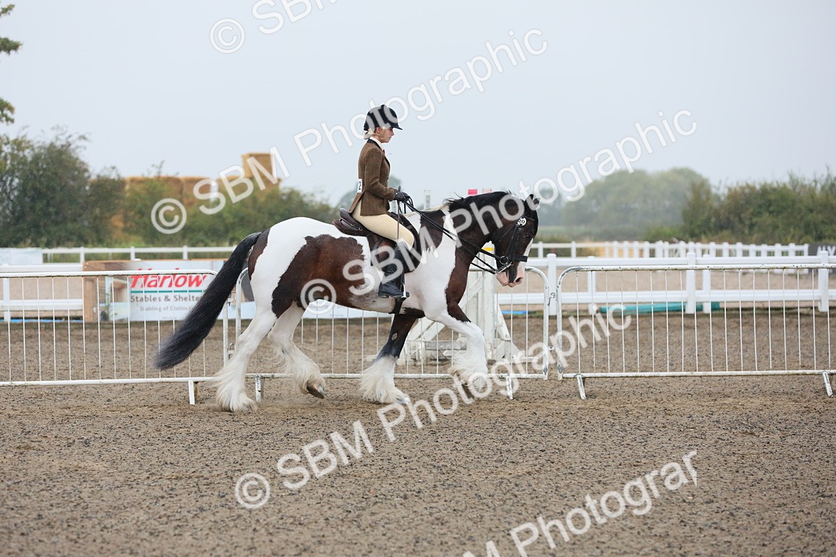 SBM_19854 - Class 801 - Ridden Veteran