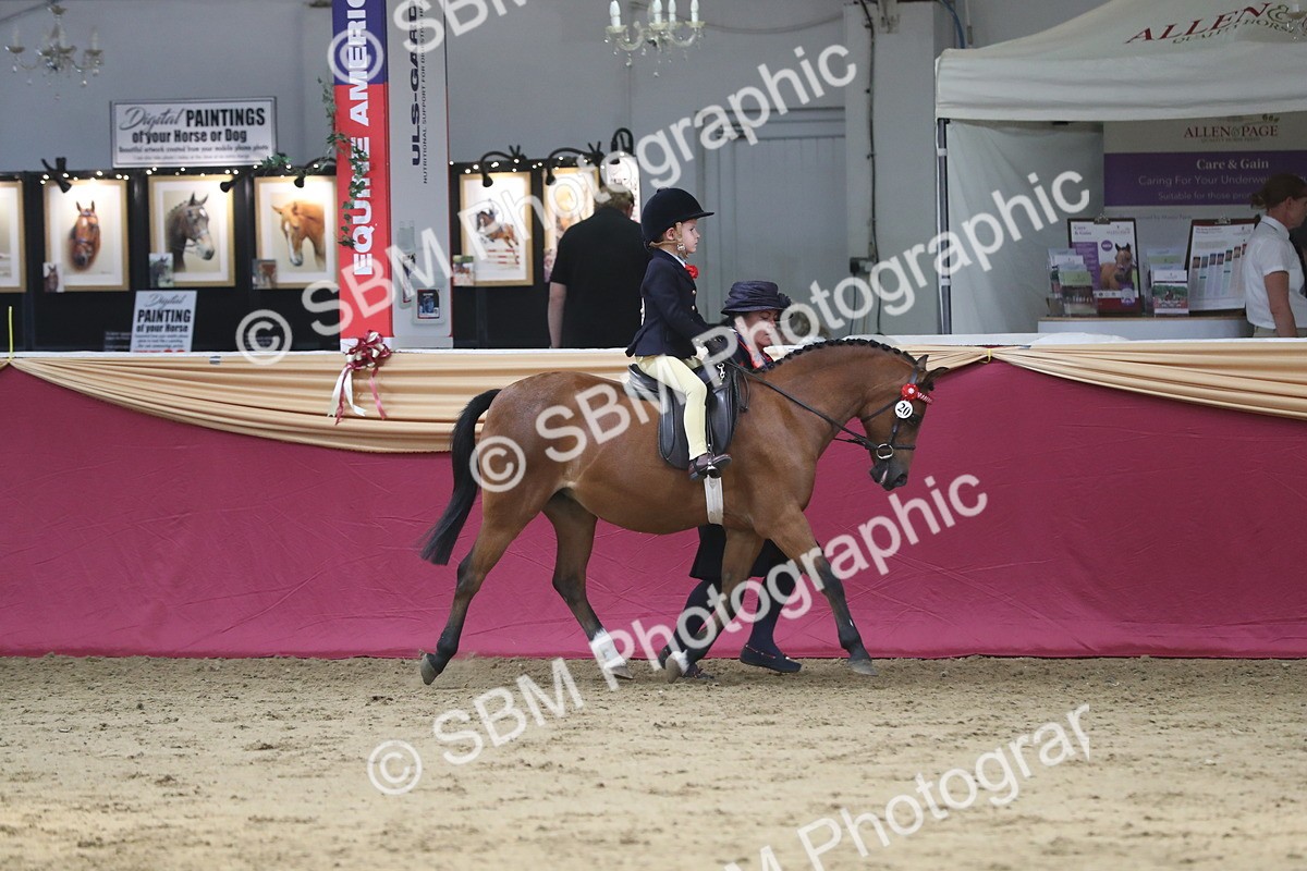 SBM_08380 - Class 11R Regional Ridden Veteran