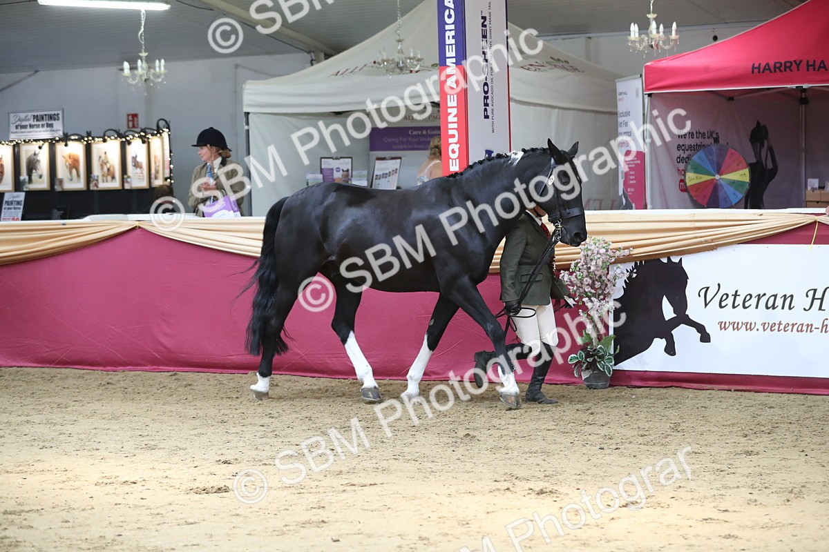 SBM_06621 - Regional IH Champ