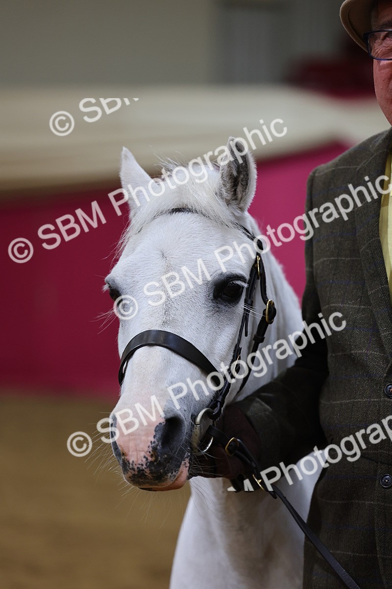 SBM_19480 - Class 901 - Supreme Final - IH Diamond