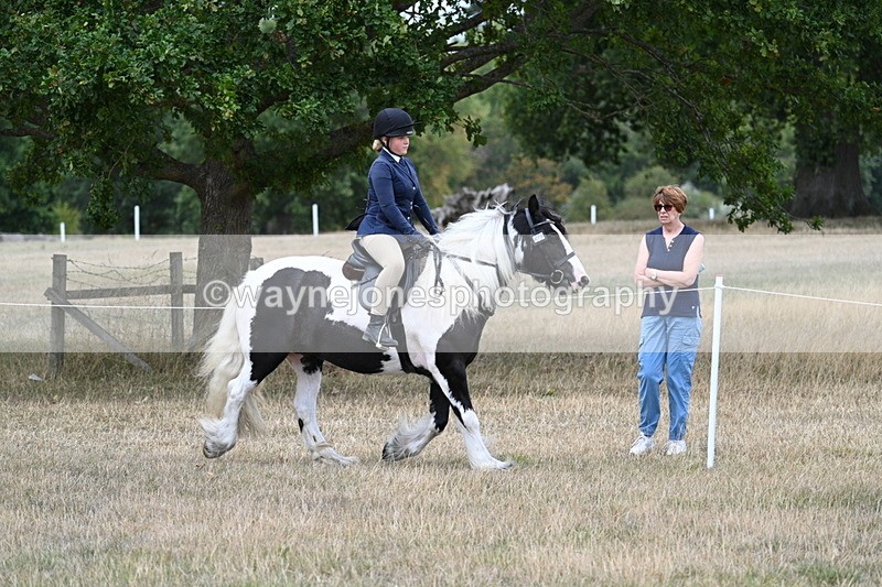 WJ7_4790 - Class 12 Ridden Cob