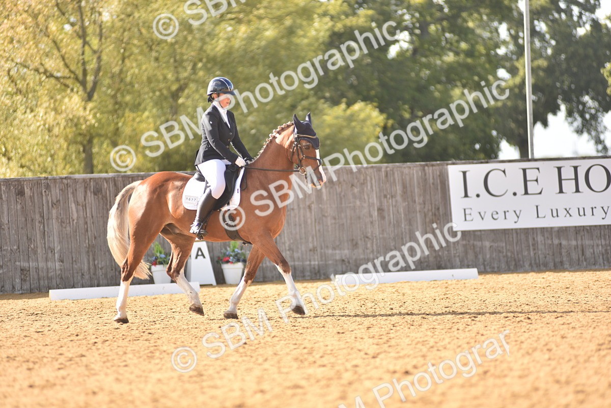 SBM_29575 - D16 -Small Tour Championship Novice 2