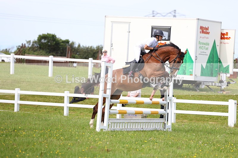 3E7A1515 - Class 13: Senior British Novice/90cm open