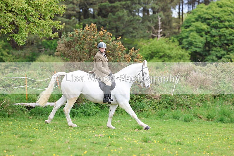 3E7A1204 - Class 7: Ridden Hunter Type