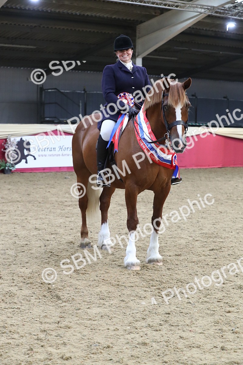 SBM_17227 - M&M Supreme Final Champ