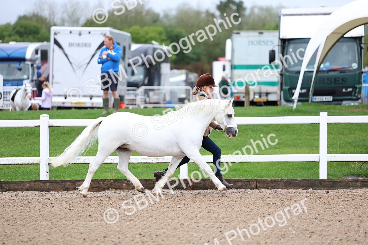SBM_00228 - Class 13 - Young Handler