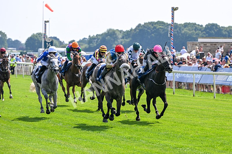 100726-Race 2-Flora Of Bermuda-9648 - Race 2 14.45pm William Hill Summer Stakes