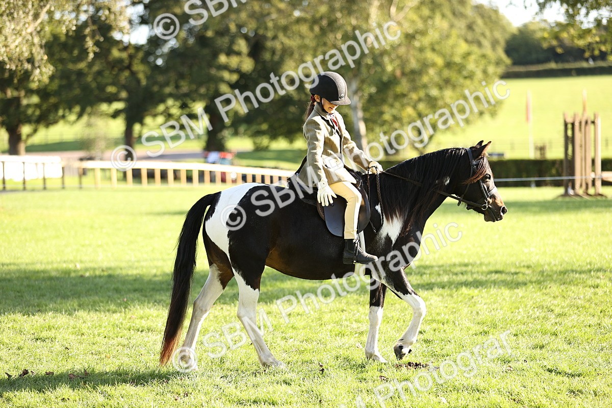 SBM_29420 - S7 - Novice & Newcomers Ridden Pony