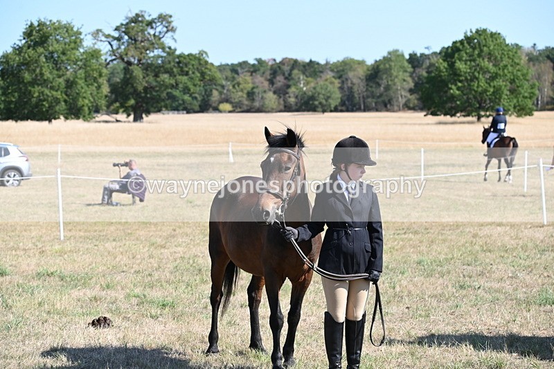 WJ6_7618 - Class 34 Judges Choice