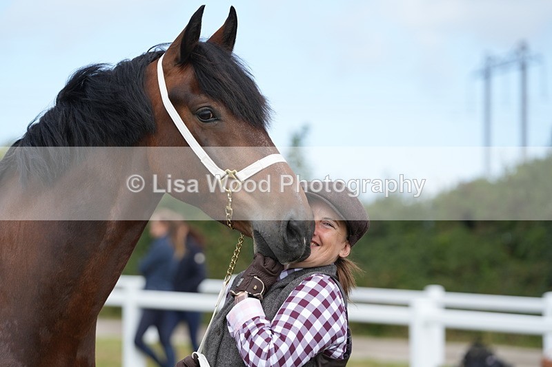 DSC05863 - Class 51: NPS M&M 4 years and over Large Breeds