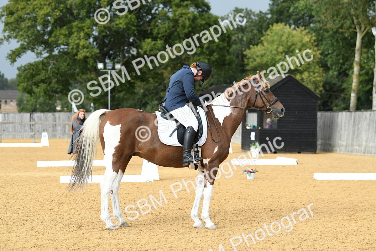 SBM_11094 - D28 Elementary Taster Elementary 42