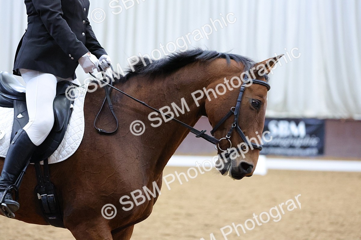 SBM_001972 - Class 5 - Novice 3