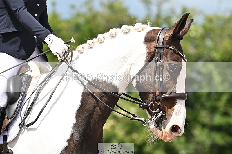 240621A-122609-02130 - Cls 7 BD Elementary 45