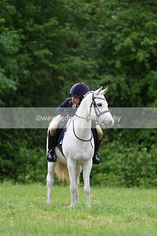 WJ7_3748 - Class 14A Handsome Gelding