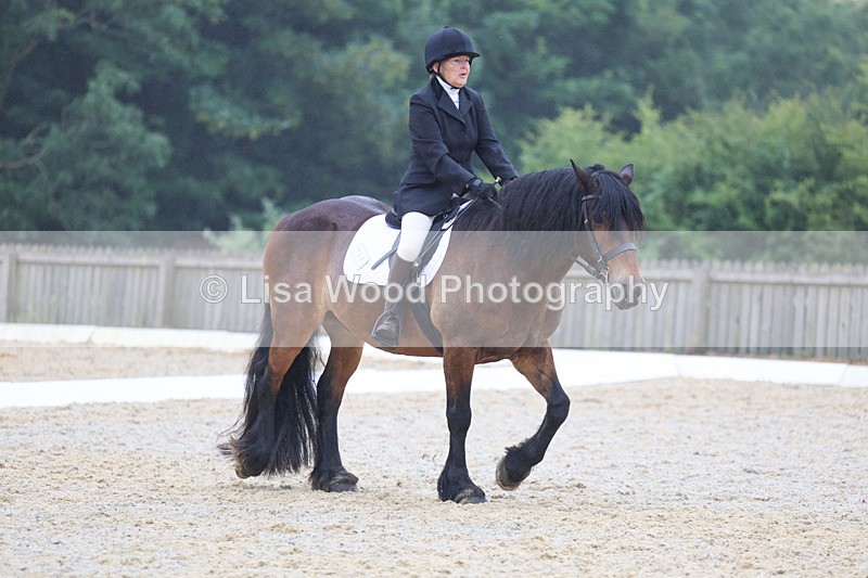 3E7A8161 - Class 1: Intro 3 2024 section A