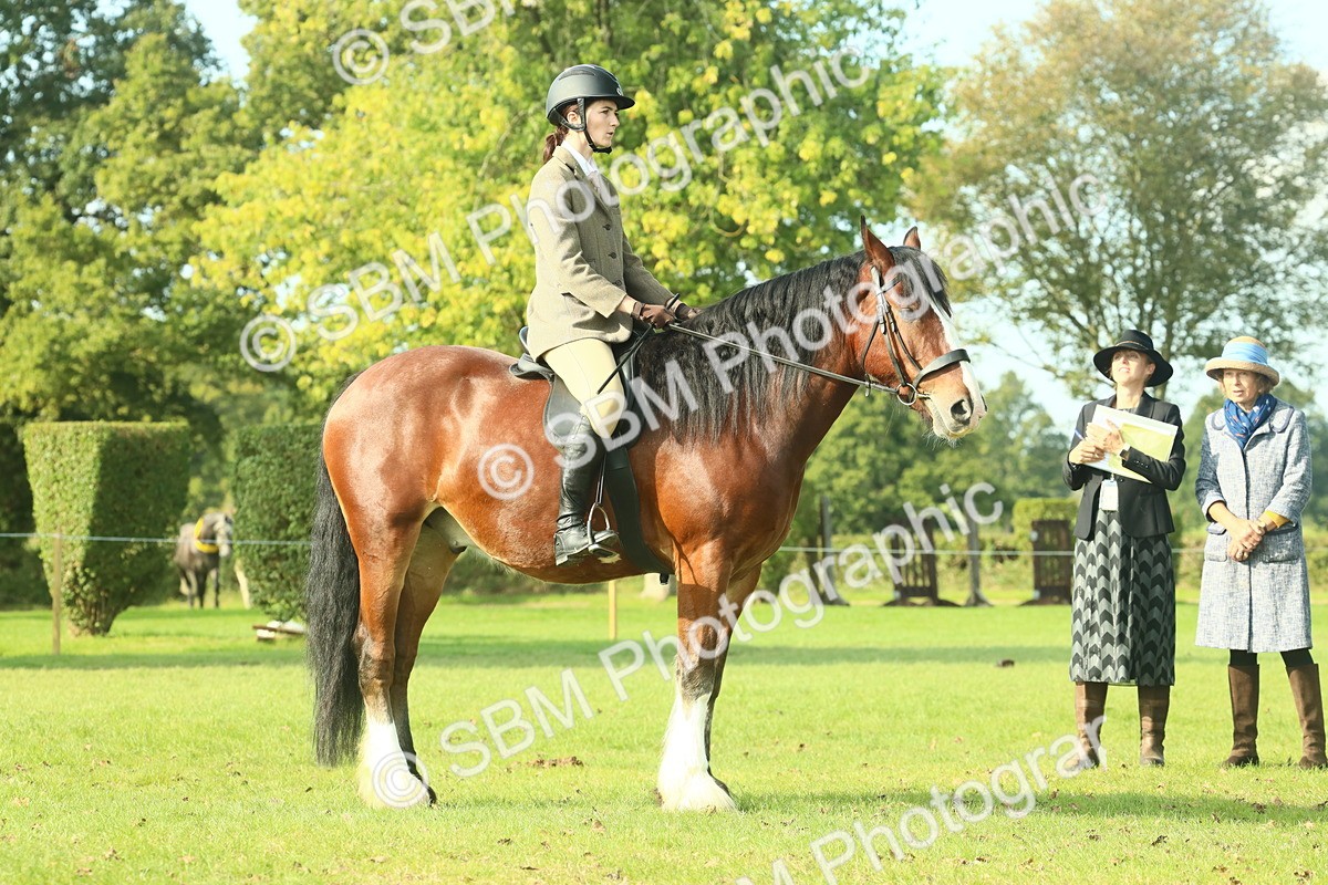 SBM_59936 - S38 - Starters Ridden Showing