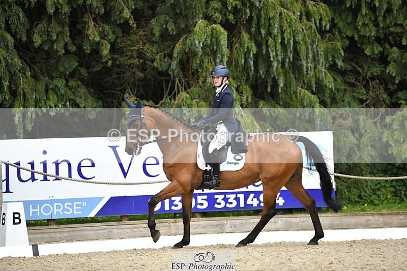 230525-154722-03307 - 329-VINTAGE_GRAFFITI-Alice_Hallows-WEDTrotUp+DR