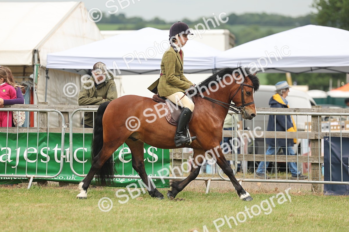 SBM_07166 - Class 76-77 - Ridden M&M Welsh Ponies