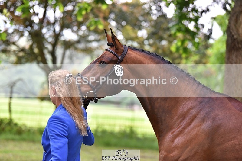 240522-172310-01568 - 278-DSH_MR_D-Caroline_Harris